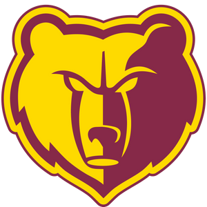 Boys Lacrosse Team Falls 5-3 to Menlo Atherton: Defense Shines