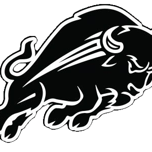 Schedule, times as West Texas high school baseball playoffs begin this week