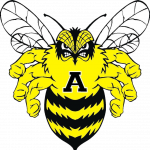 Academy Bumblebees