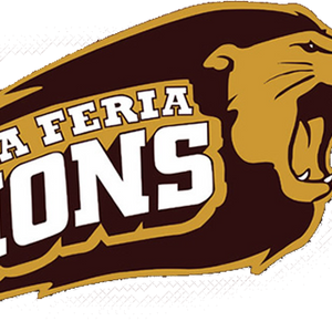 Area athletes place at UIL state track meet