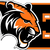 Erie Tigers