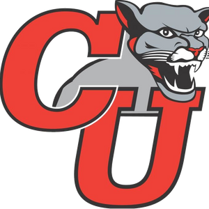 Bier, Neau, and Potter Named to All-NEWMAC Academic Team