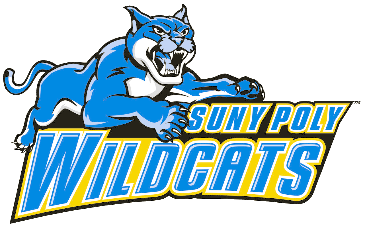 State New York Polytechnic Institute Wildcats Athletics BVM Sports