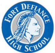 Fort Defiance sweeps four matches at Fluvanna volleyball tournament