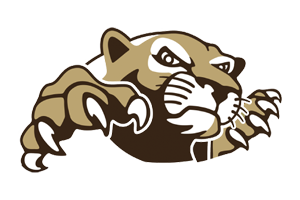 2026 Texas 3A DI Region III Football Predictions and Playoff Preview
