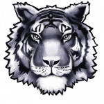 Twinsburg Tigers