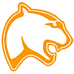 Southview Dominates Lexington in Thrilling District Championship
