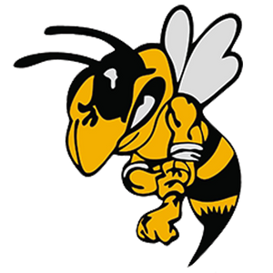 No. 3 Arcadia girls basketball falls in D-IV nonselect semifinals