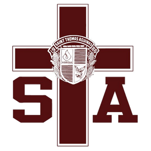 High school football: 2025 MaxPreps Junior All-America Team