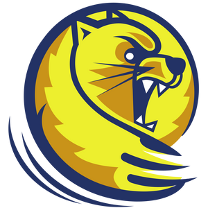 Lander Named Preseason Favorite in Conference Carolinas Acrobatics & Tumbling Poll