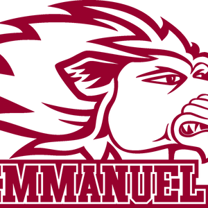 Hawks Split Dual Match Against Davenport and Emmanuel