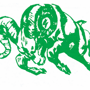 Parkside’s Player of Year, Bayside South trio on All-State football team