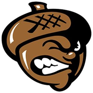 Oaks’ offense scores in bunches to blow out the Saints in Oakfield
