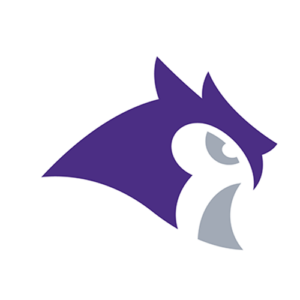 Women’s Tennis: No. 16 Owls fall to No. 1 Washington University