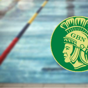 Nowak and Robinson soon to swim DI after helping Glenbrook North medal at IHSA state meet