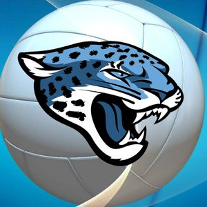 Spain Park High’s volleyball team reflects on their first Class 7A state title