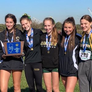Clearview HS girls XC team finishes season with multiple honors