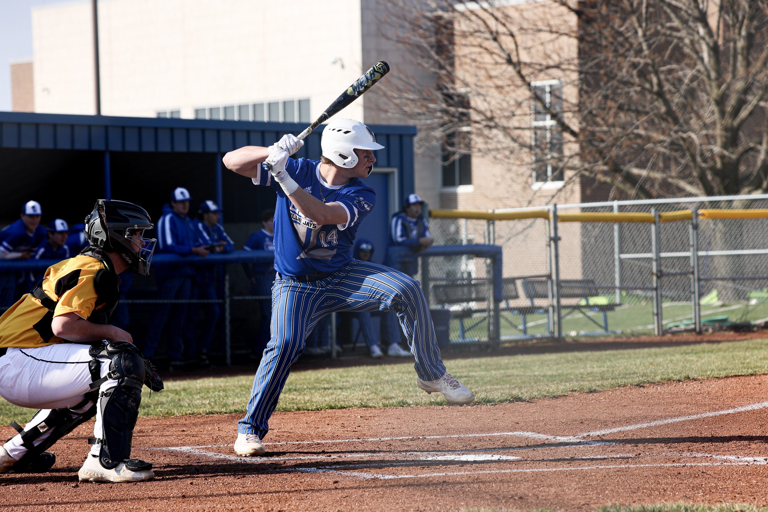 Liberty Bluejays baseball: Locked in on success - BVM Sports