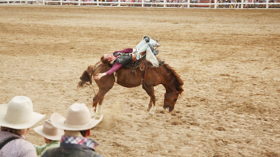Strawberry Days Rodeo A long tradition in Pleasant Grove BVM Sports