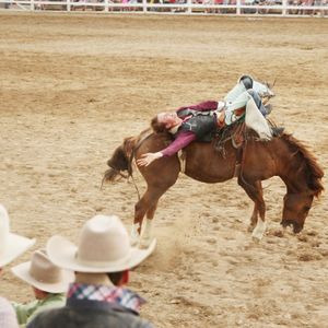 Strawberry Days Rodeo: A long tradition in Pleasant Grove