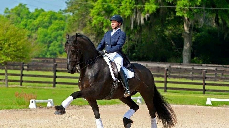 Q&A with the owner of BREC Dressage in Ocala, Tyra Vernon