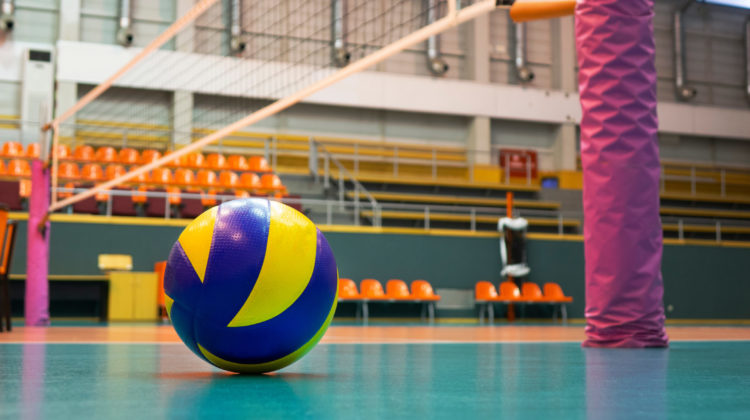 Saugatuck volleyball powered by Jenn Schock, Kennedy Gustafson’s ‘shared brain’