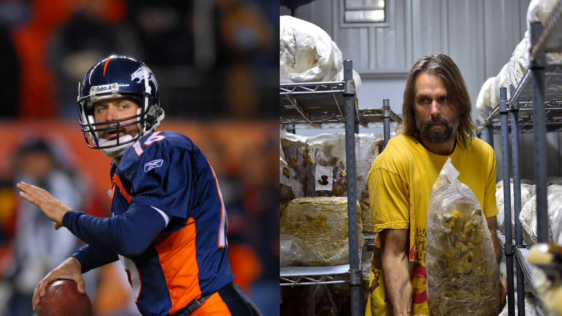 USA TODAY Sports on X: At Mycolove Farm, Jake Plummer does everything from  sweeping the floors to harvesting fully fruited mushrooms. For the former  Cardinals and Broncos QB, it's the perfect post-football