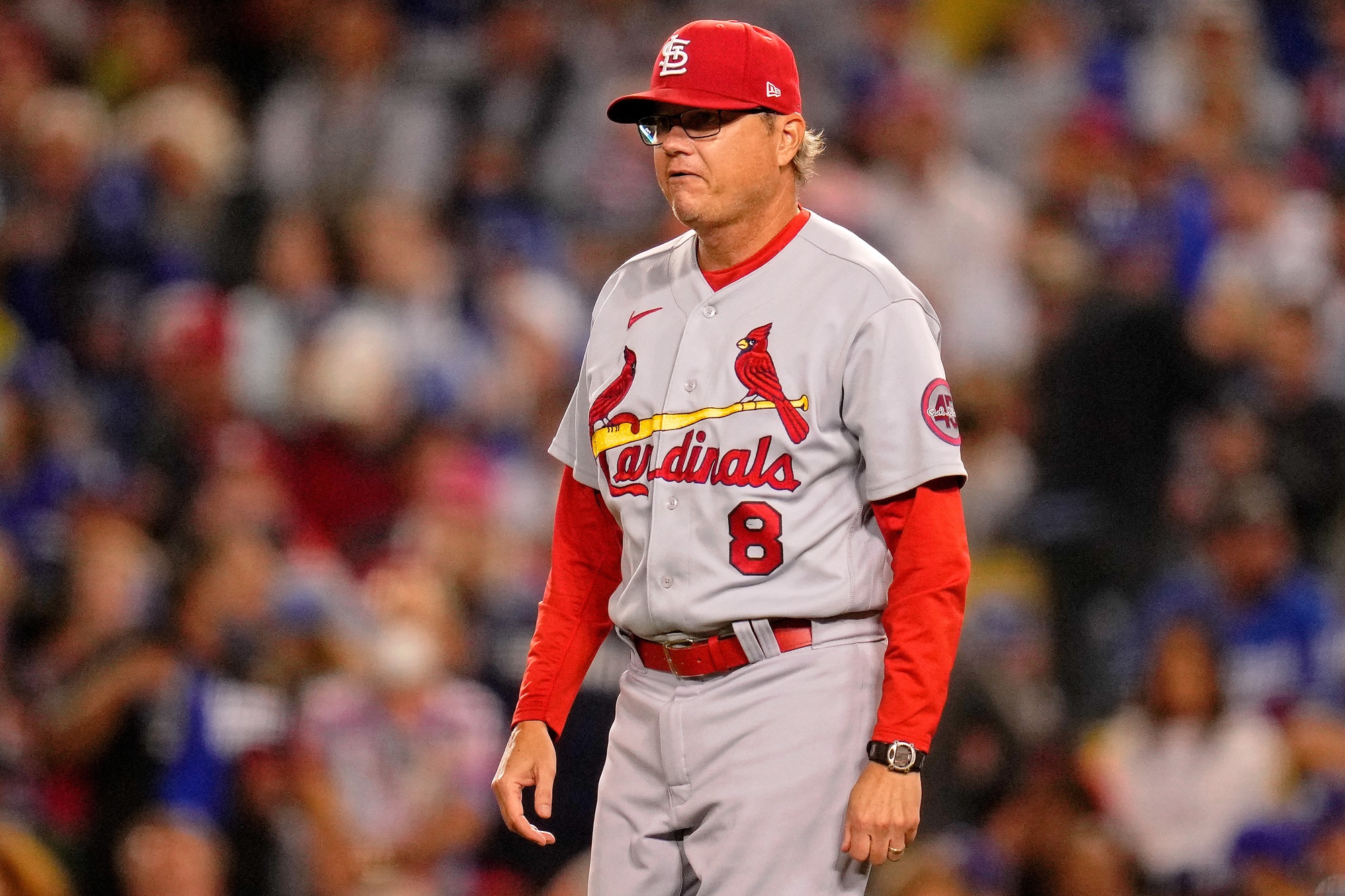 Mike Shildt with the St. Louis Cardinals.