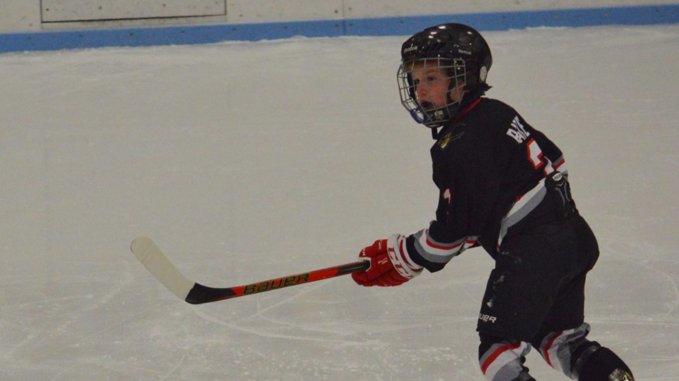 Danville Youth Hockey Association all levels BVM Sports