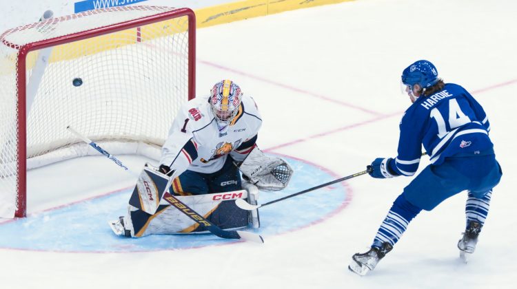 Gameday photos: Mississauga Steelheads December and January action