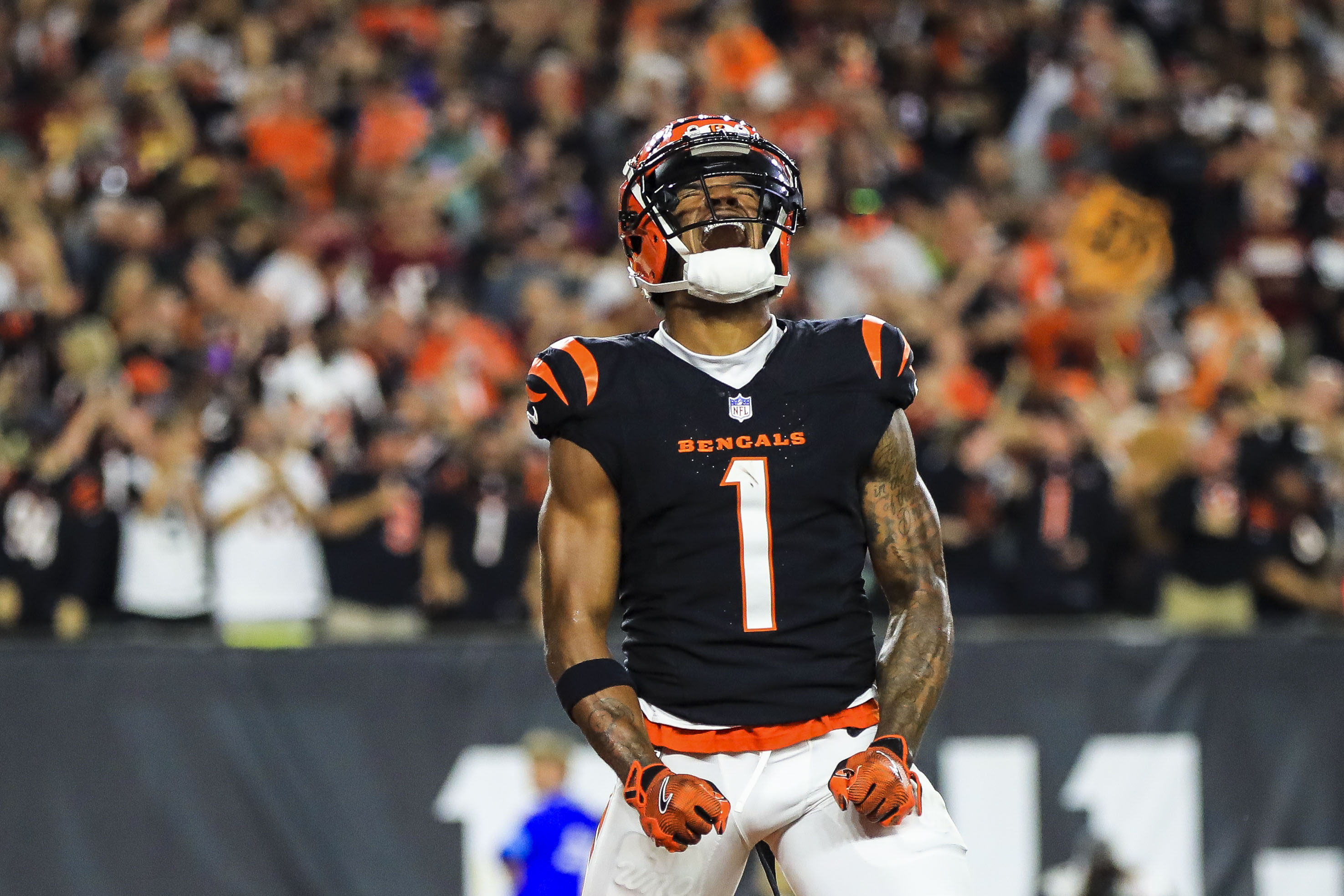 Ranking the 10 best LSU Tigers wide receivers in NFL history