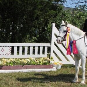 Gettysburg Riding Club: Saddling up for community and charity
